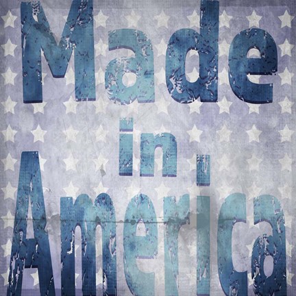 Framed American Born Free Sign Collection V4 Print