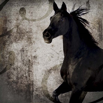 Framed Gypsy Horse Collection V1 1 Print