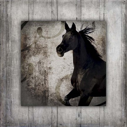 Framed Gypsy Horse Collection V1 8 Print