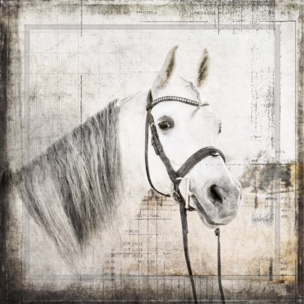 Framed My Farm My Way V6 6 Print