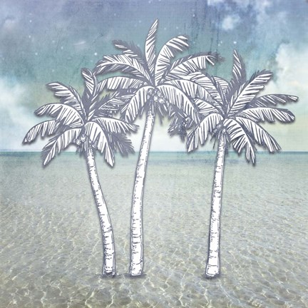 Framed Beach Signs PalmTrees Print