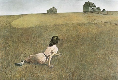 Framed Christina&#39;s World Print