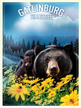 Framed Gatlinburg Tennessee Print