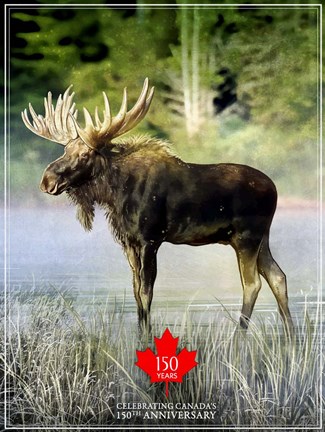 Framed Moose Canada 150th Anniversary Print