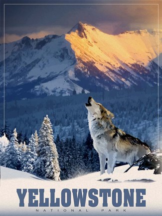 Framed Yellowstone Wolf Print