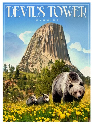Framed Devils Tower Print