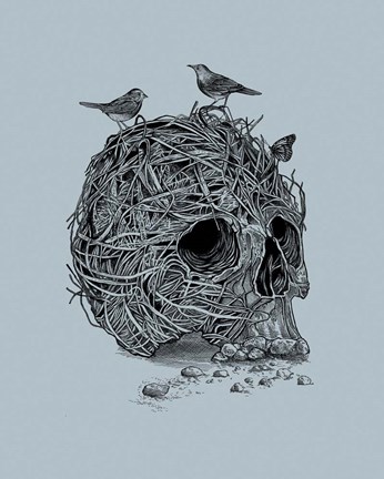 Framed Skull Nest Print