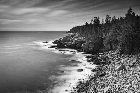Framed Acadia Coastline BW Print