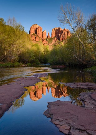 Framed Cathedral Rock Reflection Vertical Print