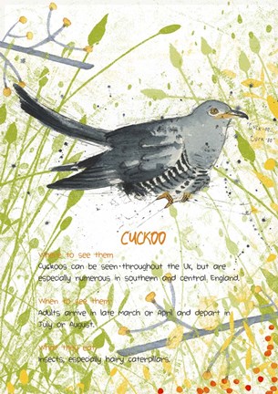 Framed Cuckoo Postcard Print