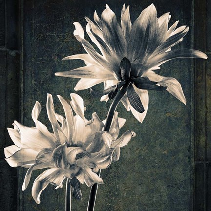 Framed Two Unknowns Texture Print