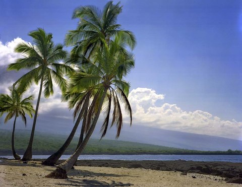 Framed City Of Refuge Print