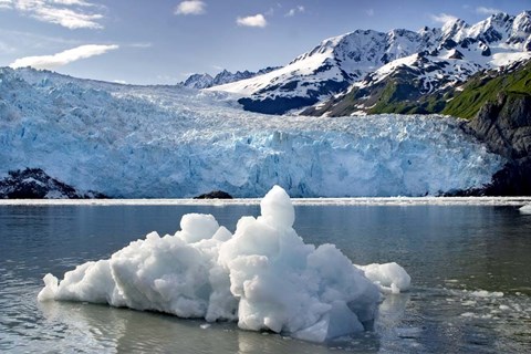Framed Iceburg Print