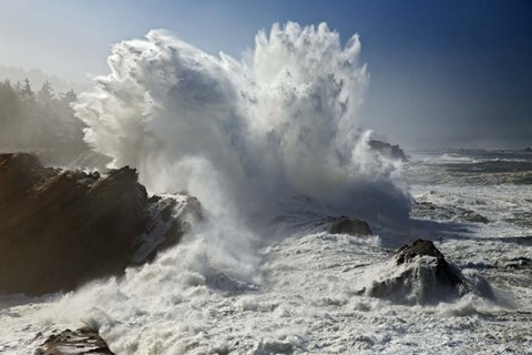 Framed Oregon Shore Acres SP Wave Print