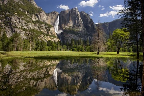 Framed Yosemite Falls Reflection Print