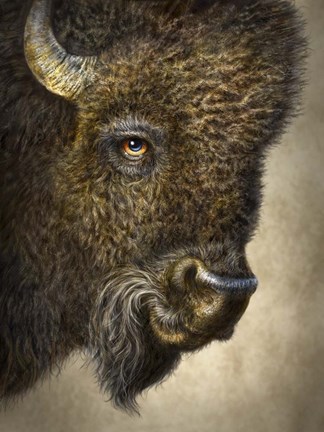 Framed Bison Totem Print