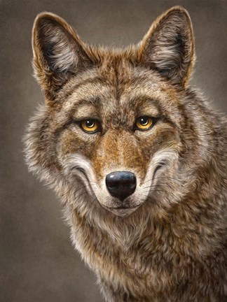 Framed Coyote Totem Print