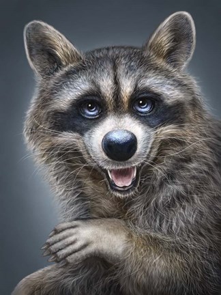 Framed Raccoon Totem Print