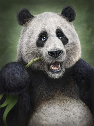 Framed Panda Totem Print