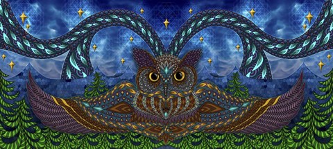 Framed Owl Eyes Print