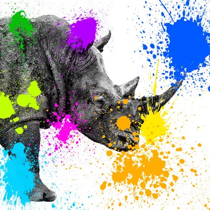 Framed Safari Colors Pop Collection - Rhino Portrait II Print