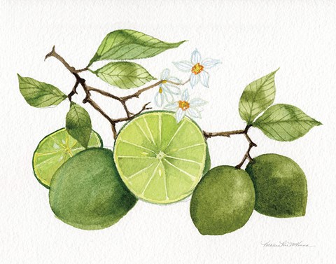 Framed Citrus Garden VII Print