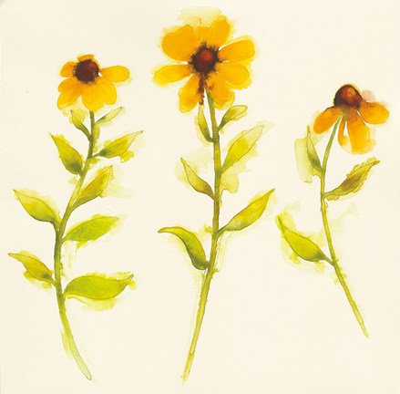 Framed Americana Meadow Element I Print