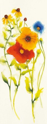 Framed Americana Meadow V Print