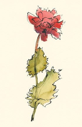 Framed Somn Bits I Print