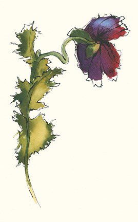 Framed Somn Bits III Print