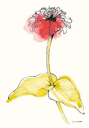 Framed Zinnia II Print