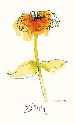 Framed Zinnia III Print