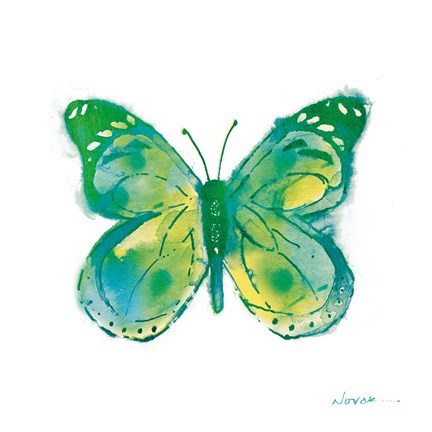 Framed Birdsong Garden Butterfly I on White Print