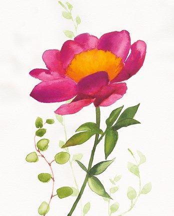 Framed Some Favorites IV Print