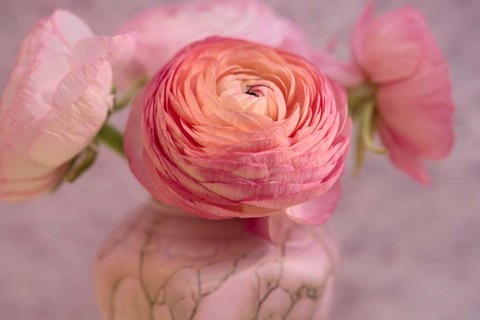 Framed Small Flower Print