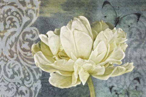 Framed Classic Double White Tulip II Print