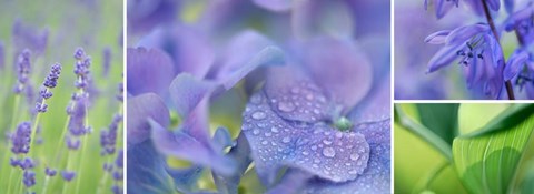 Framed Blue Garden Print