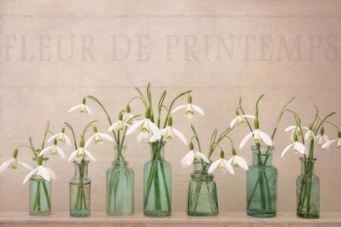 Framed Magic Of Spring Print