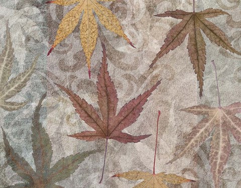 Framed Autumn Leaves Maple Print
