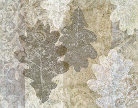 Framed Autumn Leaves Oak Print