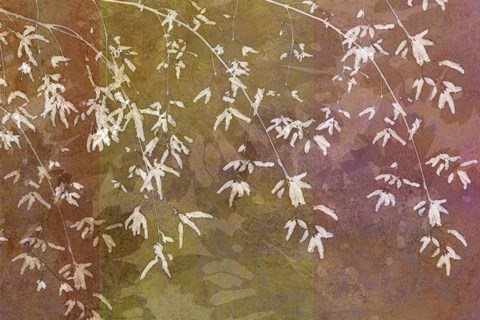 Framed Floral Flurry Bronze Print