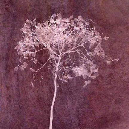 Framed Hortensia Silhouette Wine Red Print