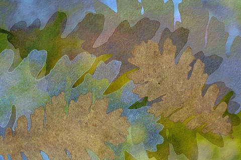 Framed Fallen Leaves Green Golden Print