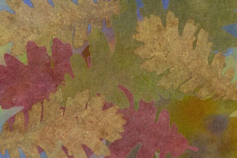 Framed Fallen Leaves Red Golden Print