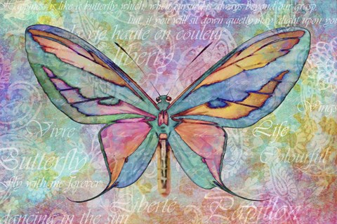 Framed Colorful Butterfly Print