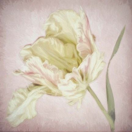 Framed Pink Parrot Tulip Painting I Print