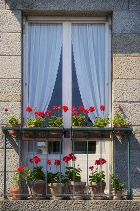 Framed Window With Red Geraniums Print