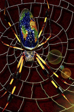 Framed Waiting Print