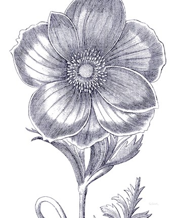 Framed Belle Fleur II Light Crop Print