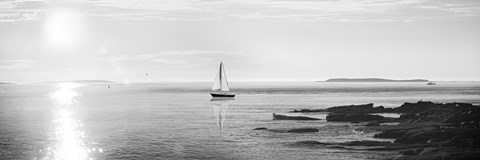 Framed Evening Sail Black and White Crop Print